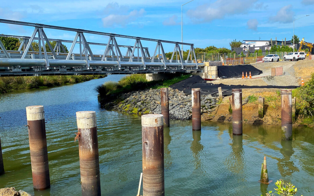 Ngaakooroa Stream Bridge Dewatering