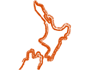 nz