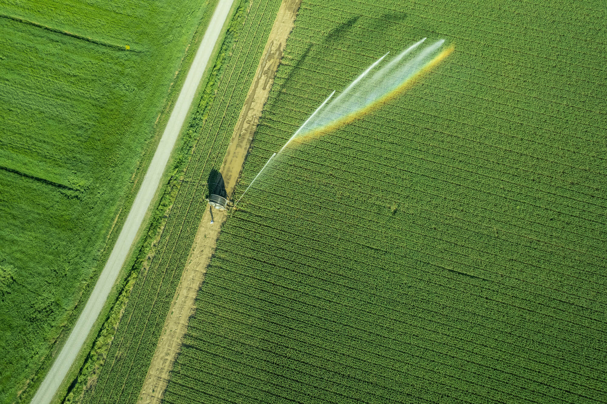 Groundwater & Surface Water Takes - Earthtech