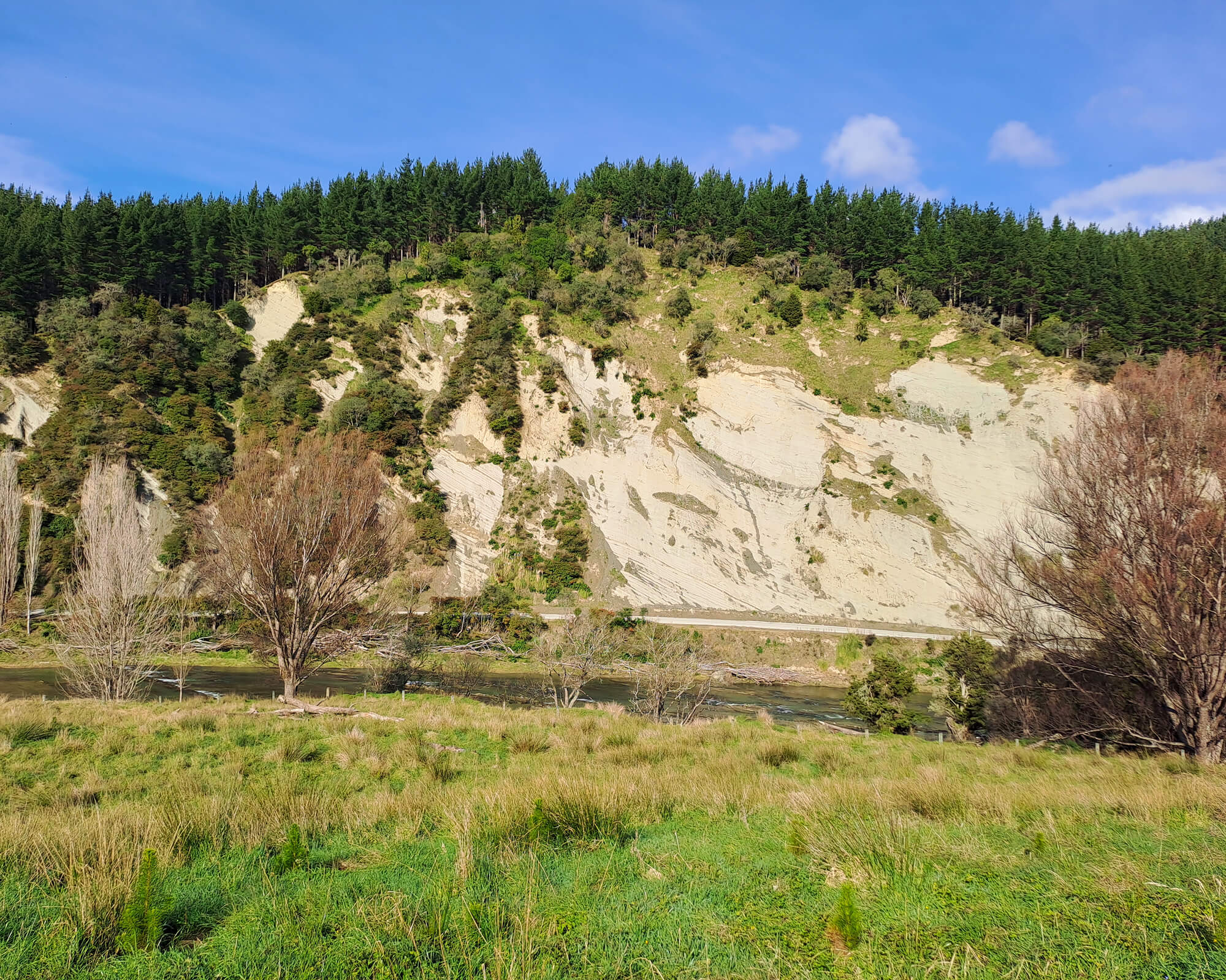 Mountainside