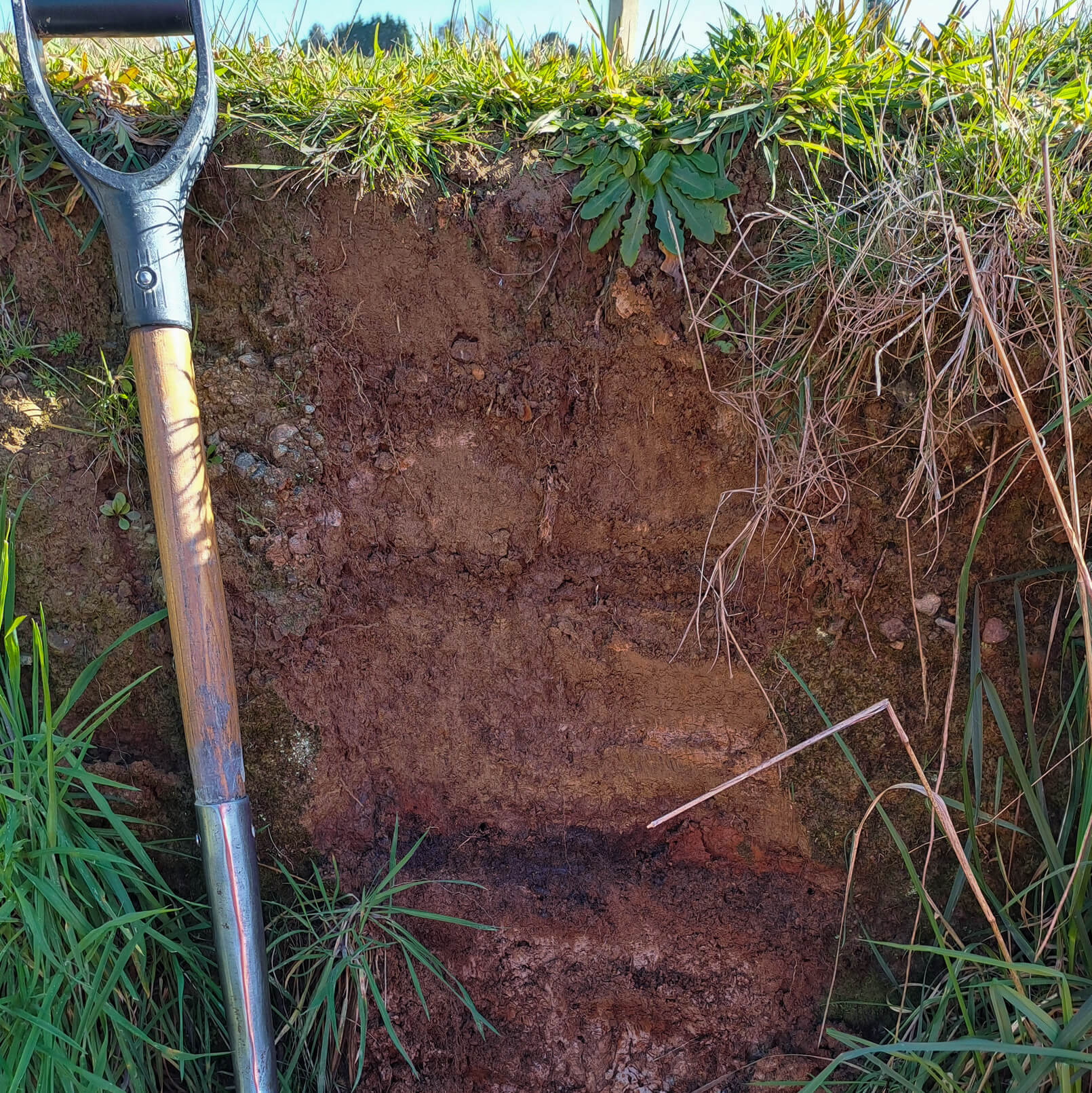 Soil-Layers Soil-Layers